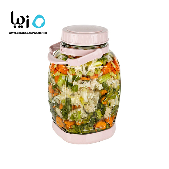 بانکه ترشی کاسنیک زیبا سازان