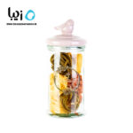 بانکه چیچینی زیباسازان